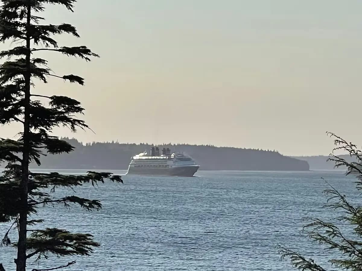 Cruise ship passing by