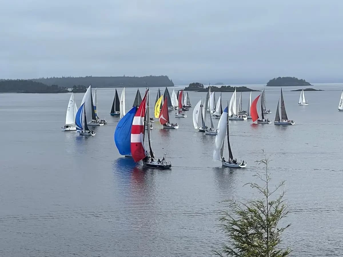 Sailboats in the water