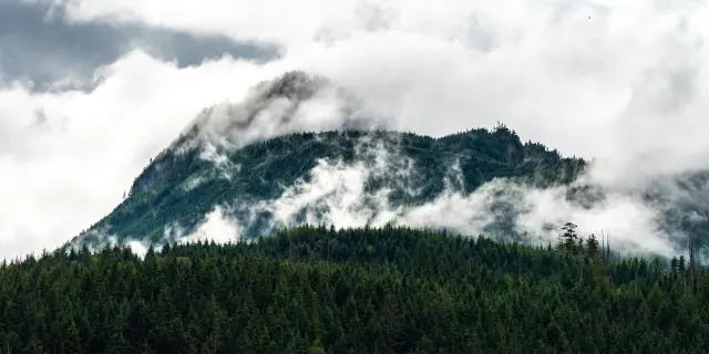 Hiking trail in the forest